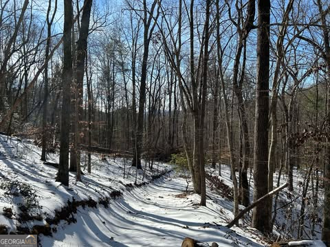 2594 Blue Ridge Gap Road Clayton GA 30525