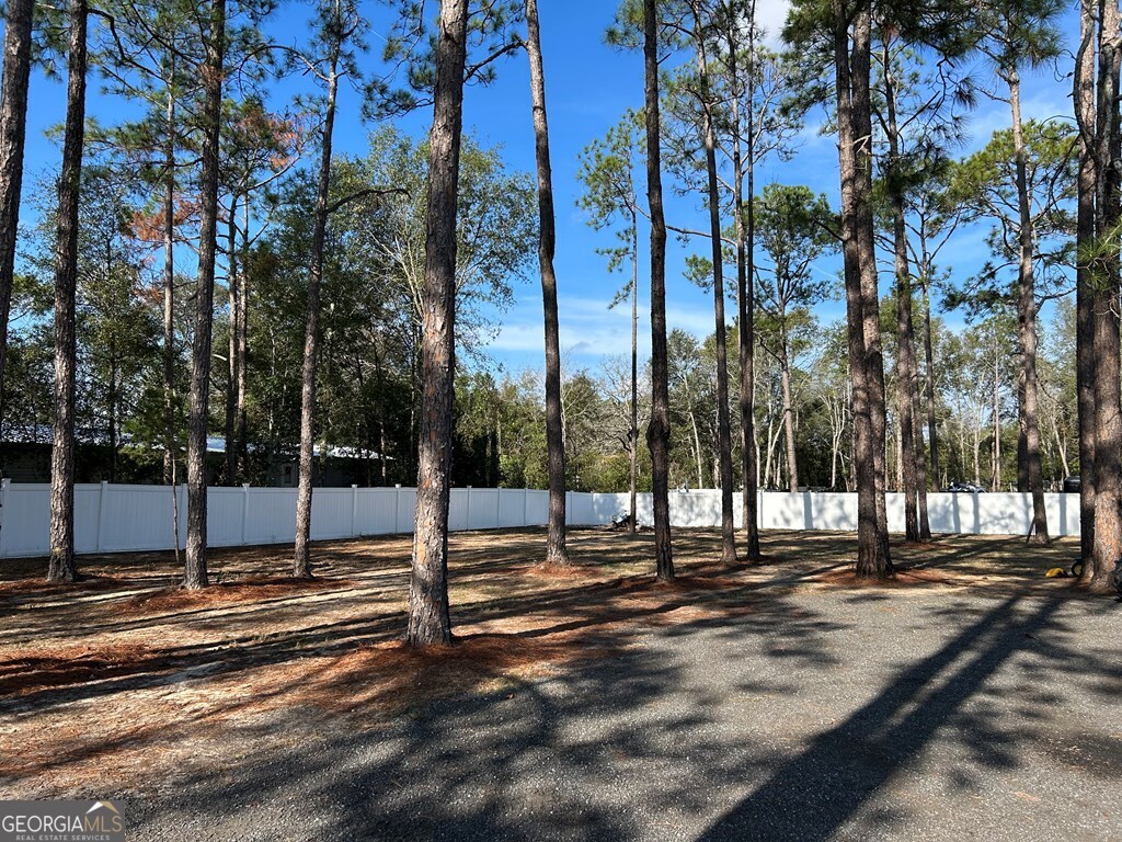 158 Shephards Bridge Road Reidsville GA 30453