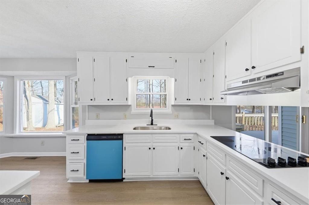 8976 Ochil Lane Winston GA 30187