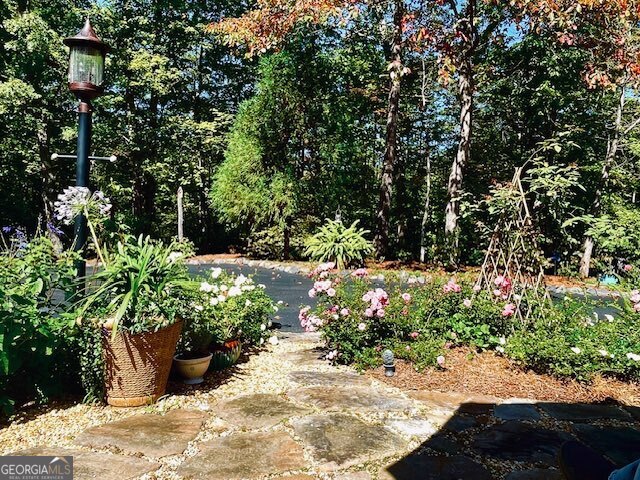 205 Minnehaha Trail Blue Ridge GA 30513