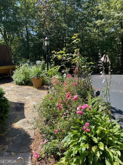 205 Minnehaha Trail Blue Ridge GA 30513