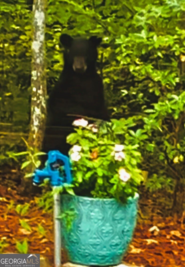 205 Minnehaha Trail Blue Ridge GA 30513