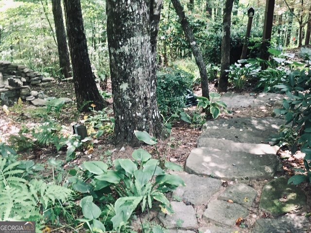 205 Minnehaha Trail Blue Ridge GA 30513