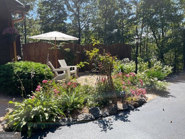 205 Minnehaha Trail Blue Ridge GA 30513