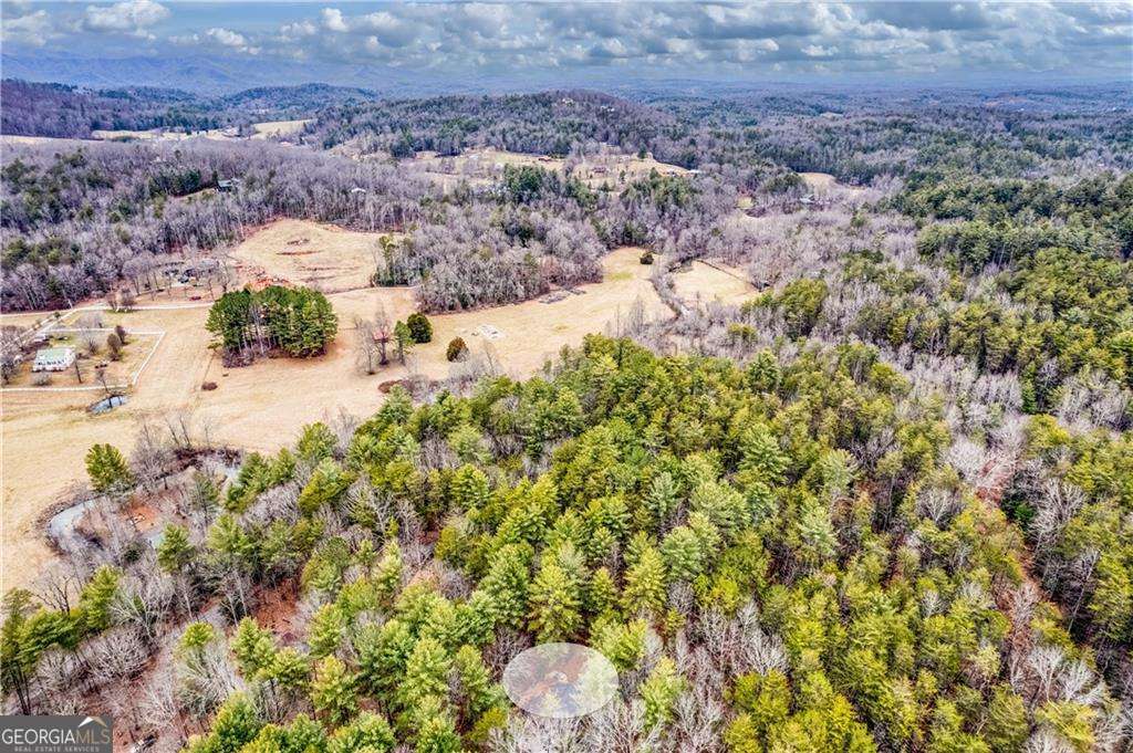 357 Mystic Lane Blue Ridge GA 30513