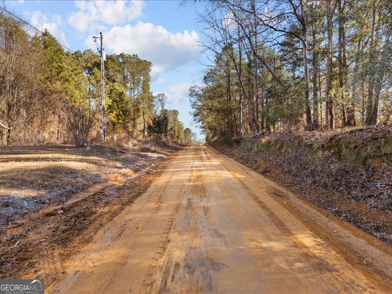 221 Sunset Point Road Fort Gaines GA 39851
