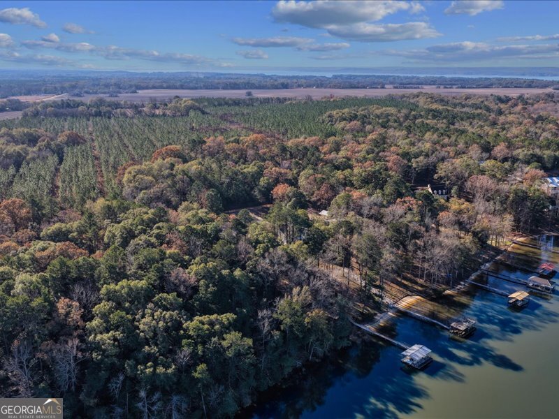 221 Sunset Point Road Fort Gaines GA 39851