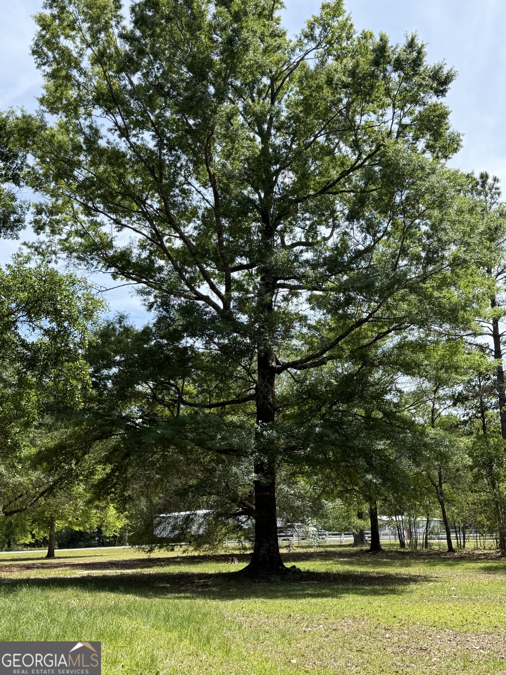2 Buckboard Trail Jesup GA 31546