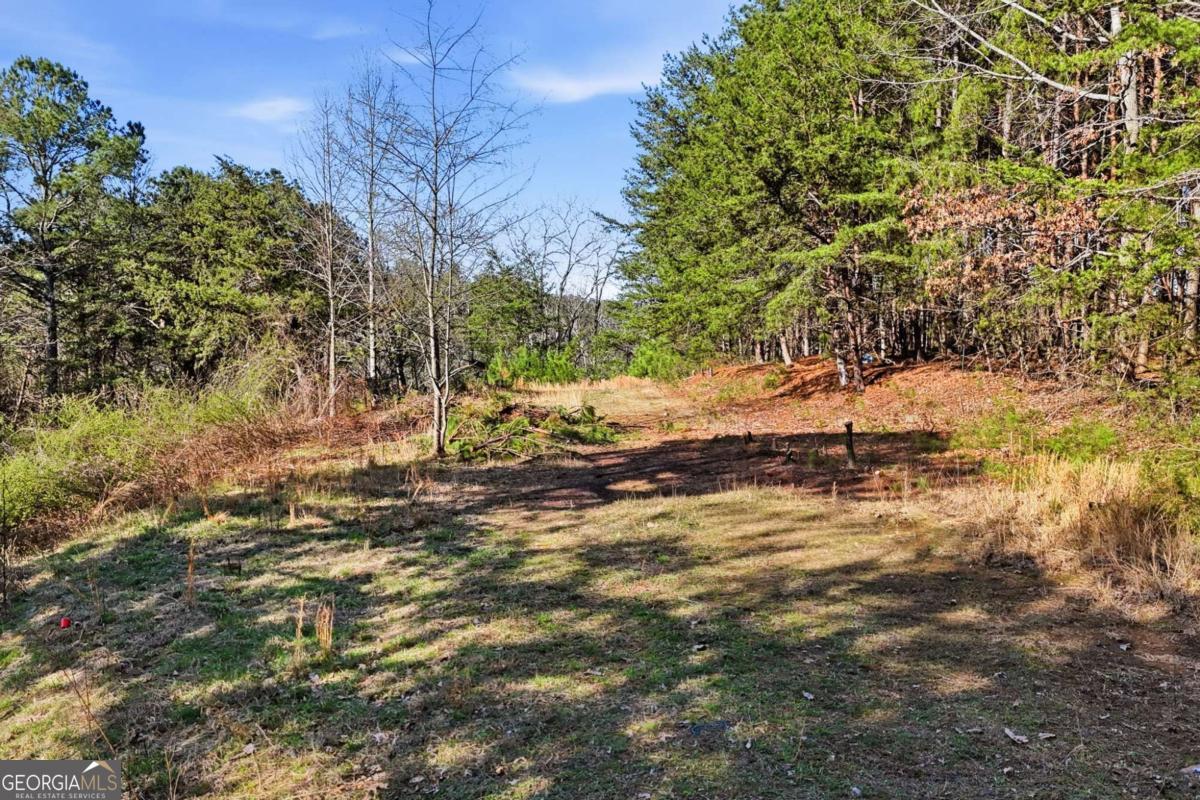1139 Davis Road W Fairmount GA 30139