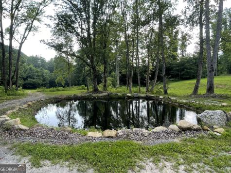 1449 Muskrat Creek Road Hayesville NC 28904