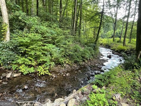 1449 Muskrat Creek Road Hayesville NC 28904