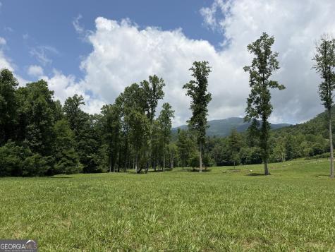1449 Muskrat Creek Road Hayesville NC 28904