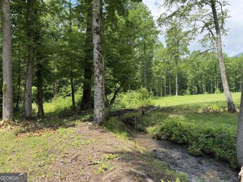 1449 Muskrat Creek Road Hayesville NC 28904