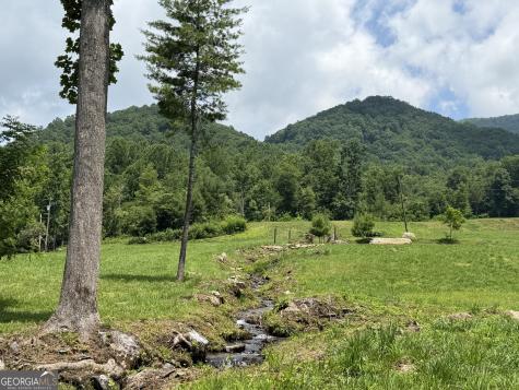 1449 Muskrat Creek Road Hayesville NC 28904