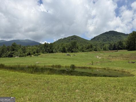 1449 Muskrat Creek Road Hayesville NC 28904