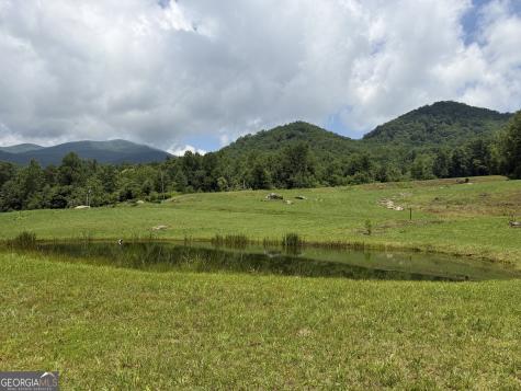1449 Muskrat Creek Road Hayesville NC 28904