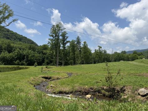 1449 Muskrat Creek Road Hayesville NC 28904