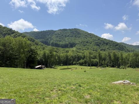 1449 Muskrat Creek Road Hayesville NC 28904