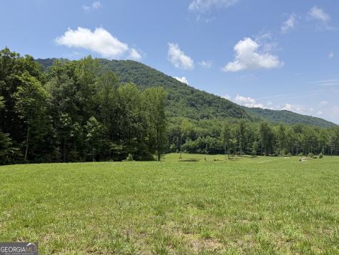 1449 Muskrat Creek Road Hayesville NC 28904