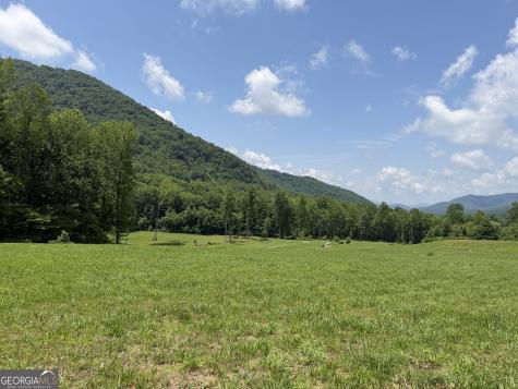 1449 Muskrat Creek Road Hayesville NC 28904