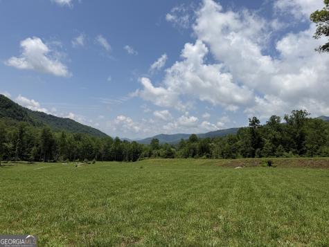 1449 Muskrat Creek Road Hayesville NC 28904
