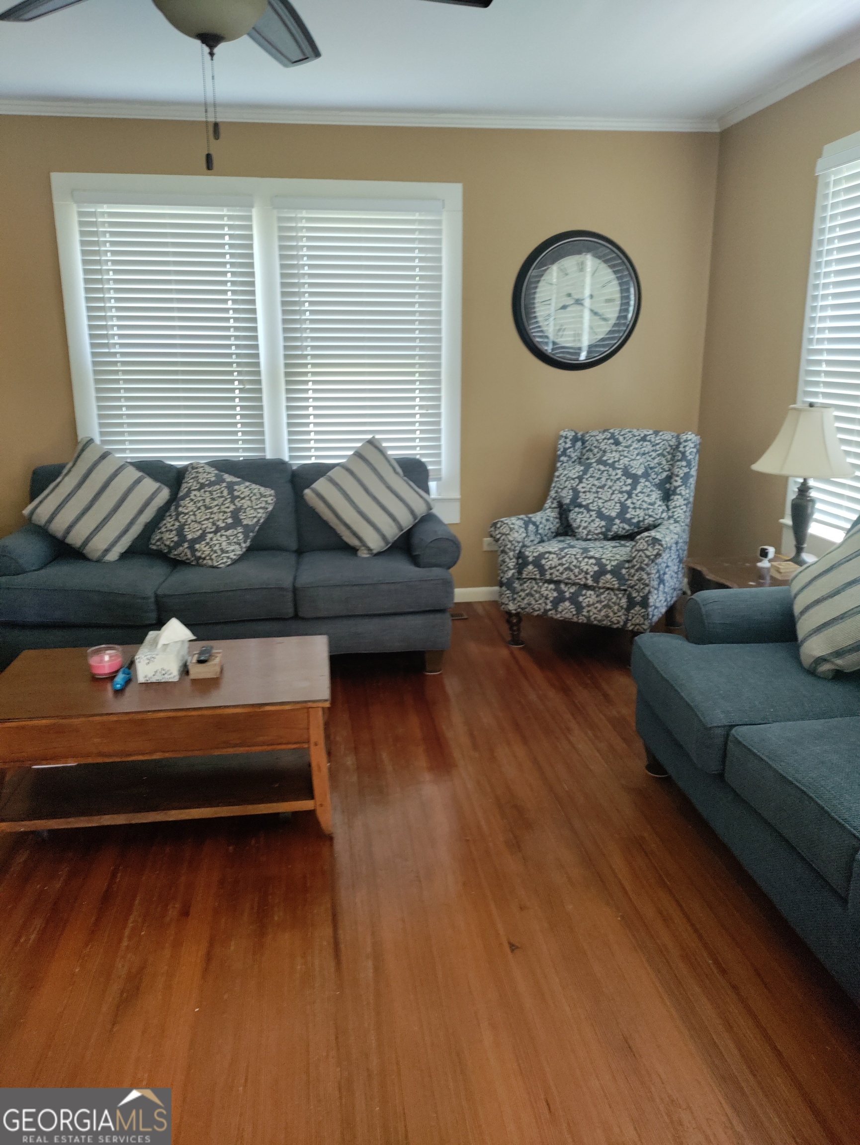 540 NE Dogwood Drive NE Pelham GA 31779