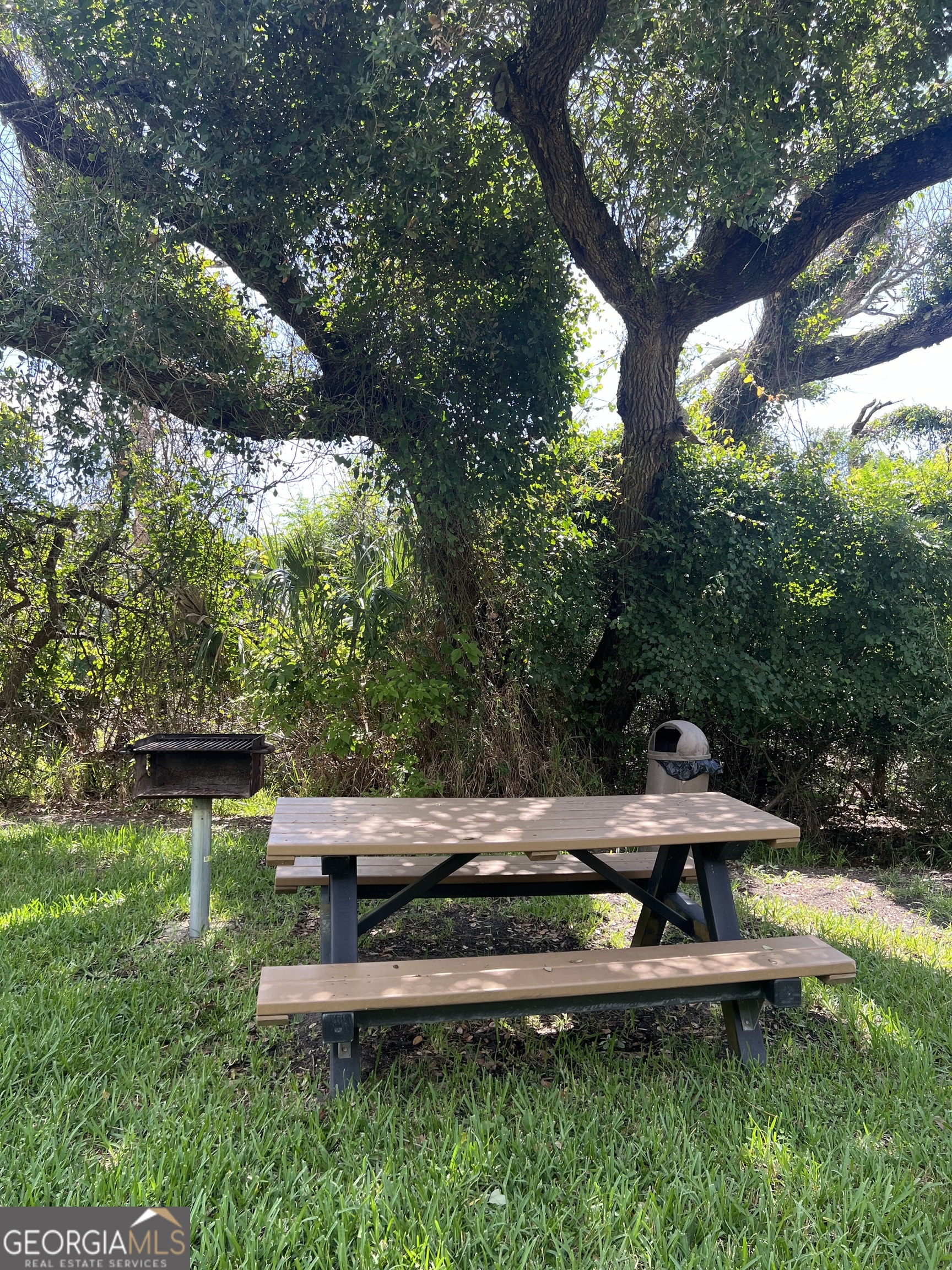 1175 N Beachview Drive Jekyll Island GA 31527