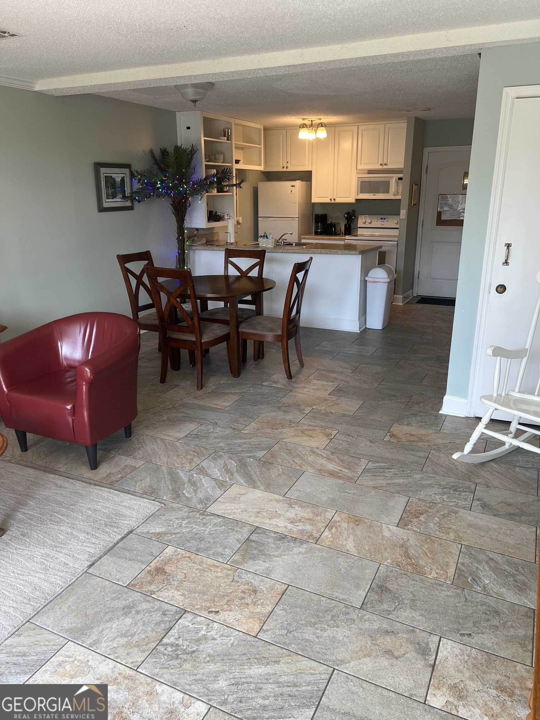 1175 N Beachview Drive Jekyll Island GA 31527