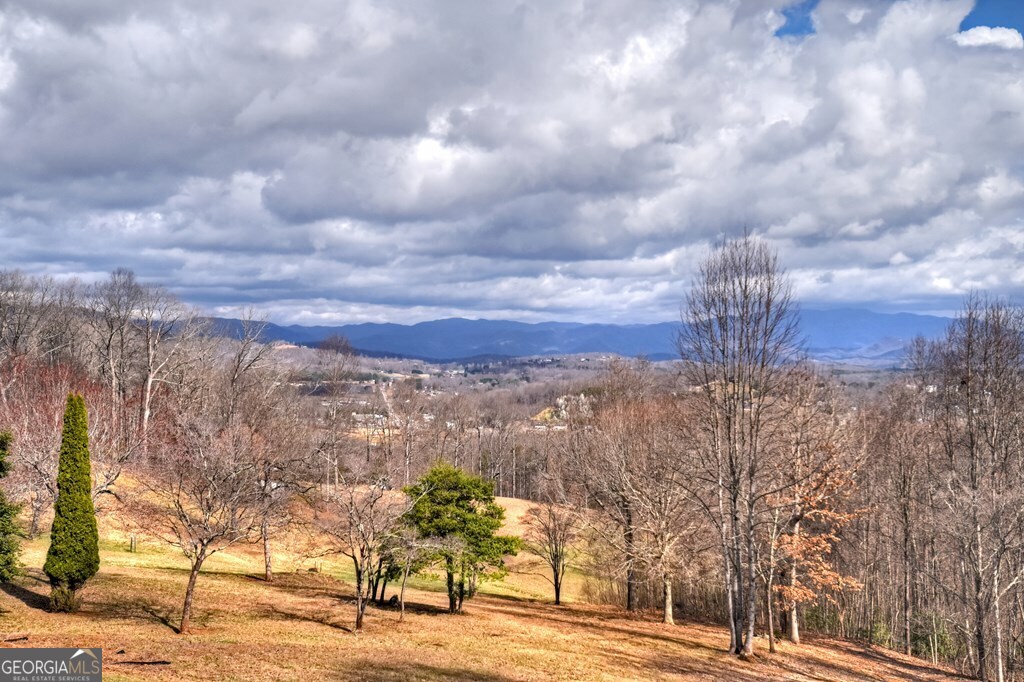 756 Mining Gap Conn Young Harris GA 30582