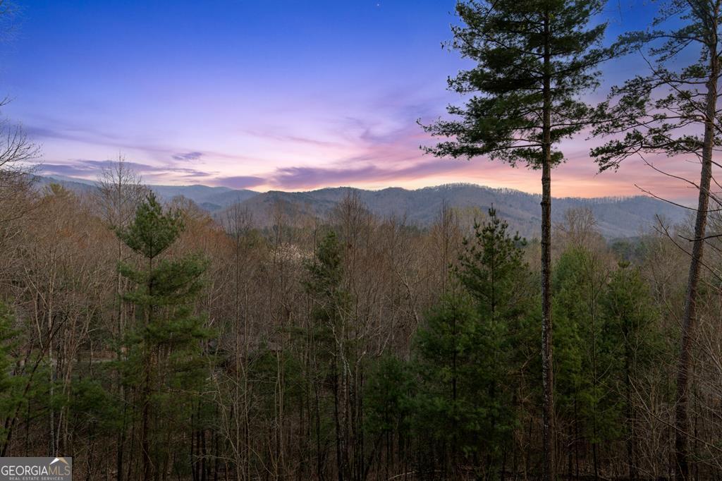 272 Laurel Mountain Road Cherry Log GA 30522