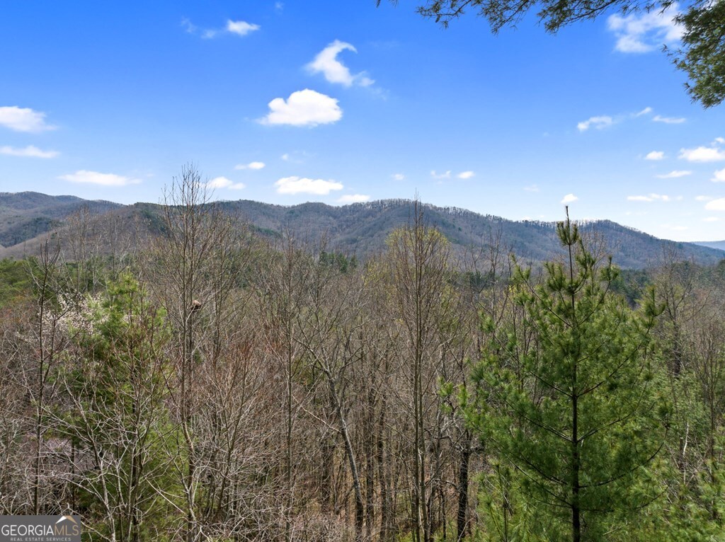 272 Laurel Mountain Road Cherry Log GA 30522