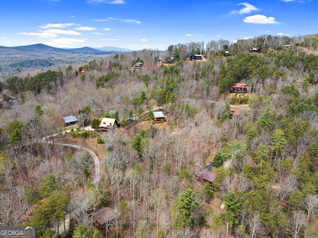 272 Laurel Mountain Road Cherry Log GA 30522