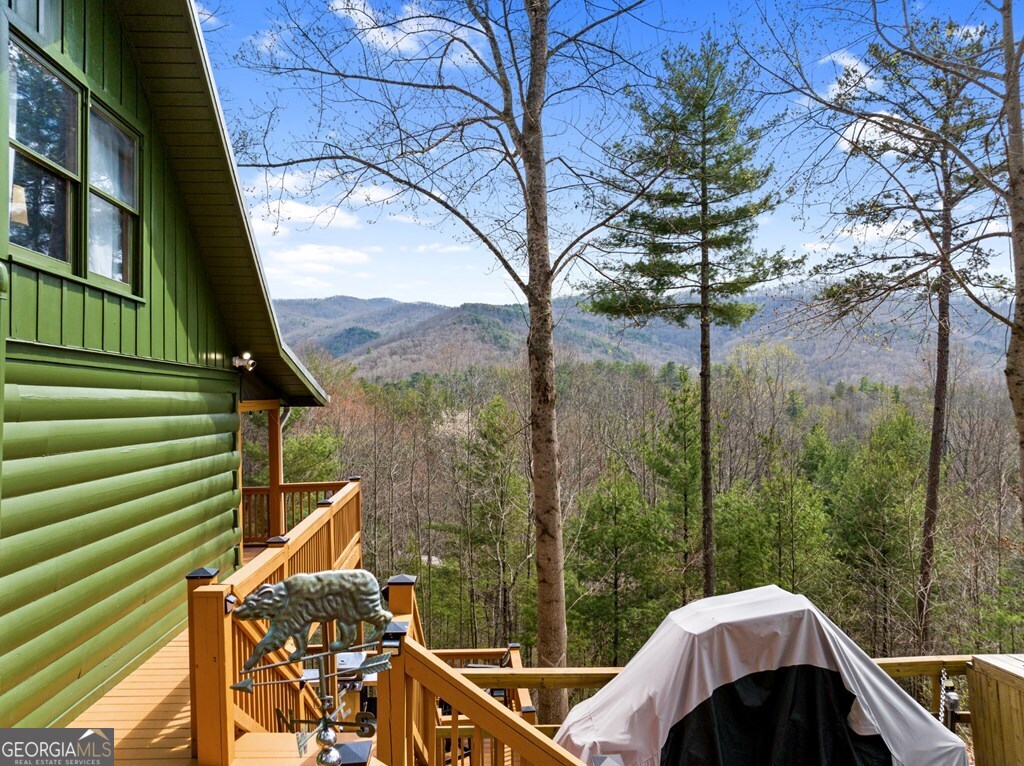 272 Laurel Mountain Road Cherry Log GA 30522