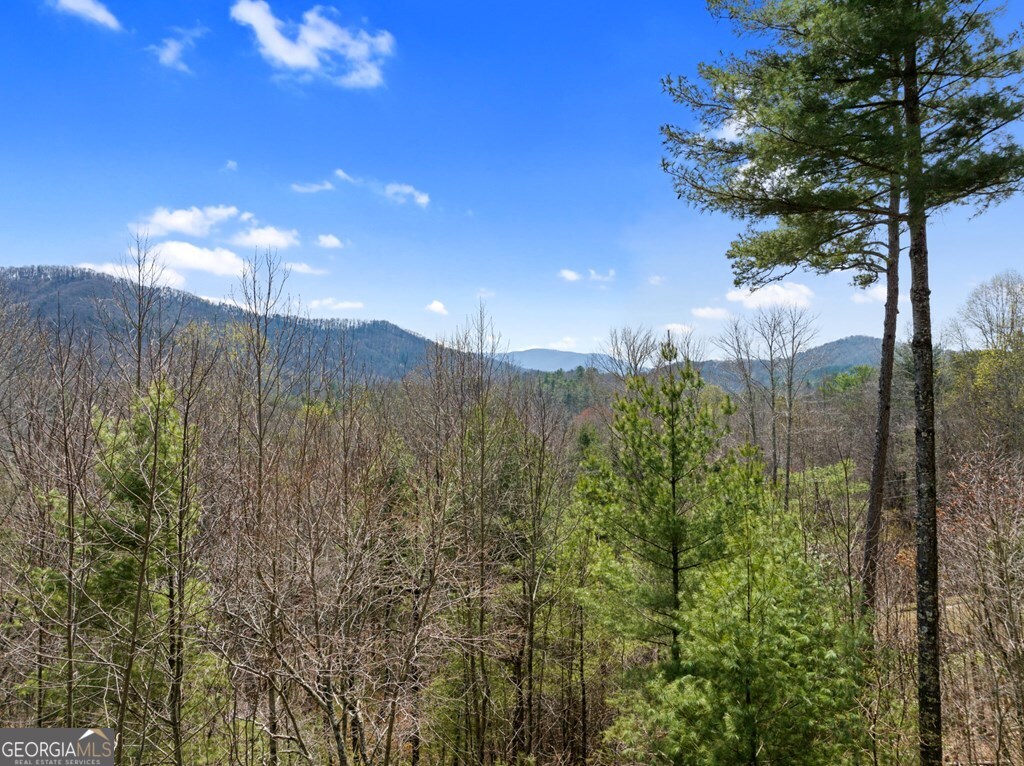 272 Laurel Mountain Road Cherry Log GA 30522