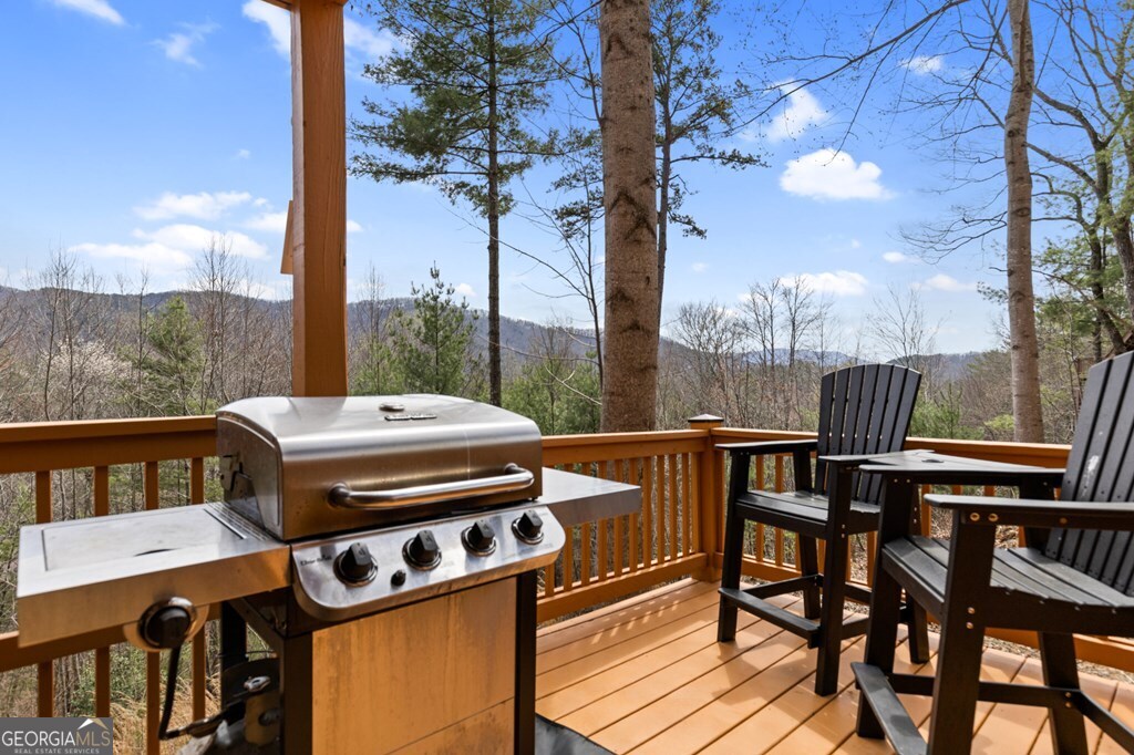 272 Laurel Mountain Road Cherry Log GA 30522