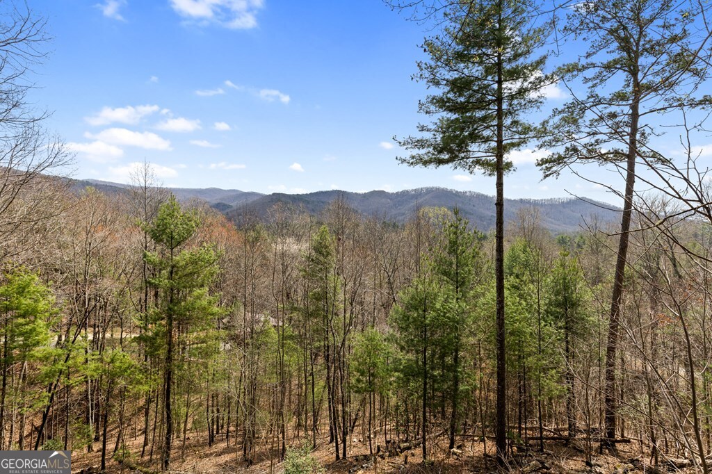 272 Laurel Mountain Road Cherry Log GA 30522