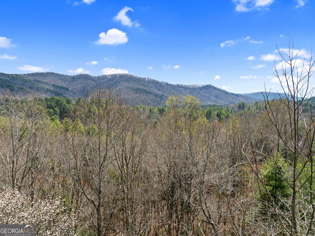 272 Laurel Mountain Road Cherry Log GA 30522