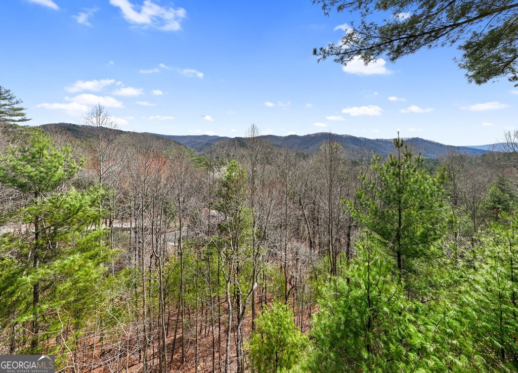 272 Laurel Mountain Road Cherry Log GA 30522