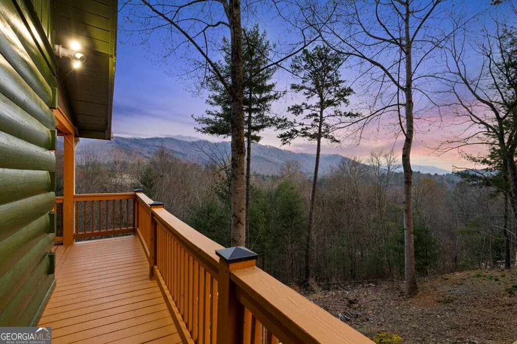 272 Laurel Mountain Road Cherry Log GA 30522