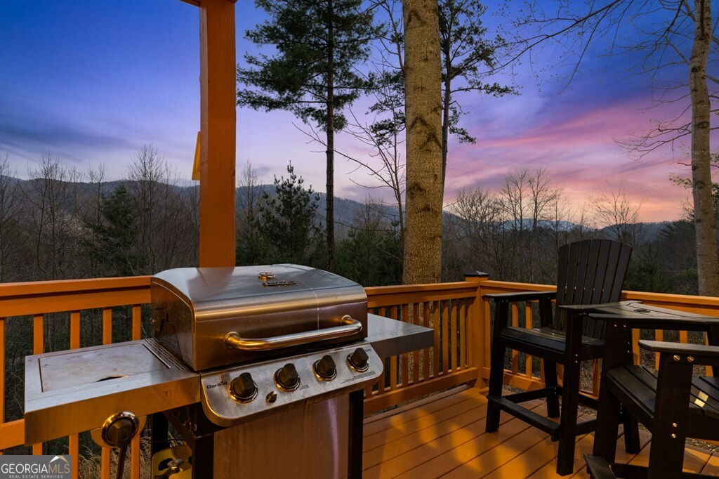 272 Laurel Mountain Road Cherry Log GA 30522