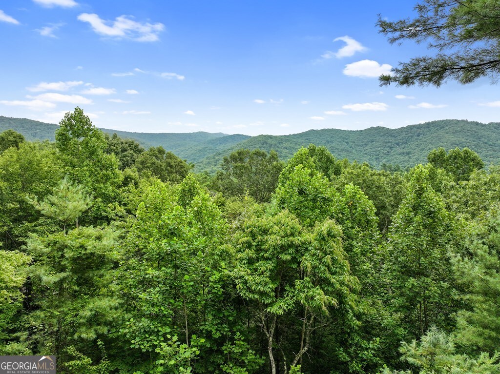 272 Laurel Mountain Road Cherry Log GA 30522