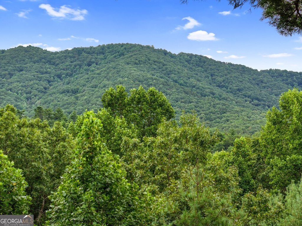 272 Laurel Mountain Road Cherry Log GA 30522