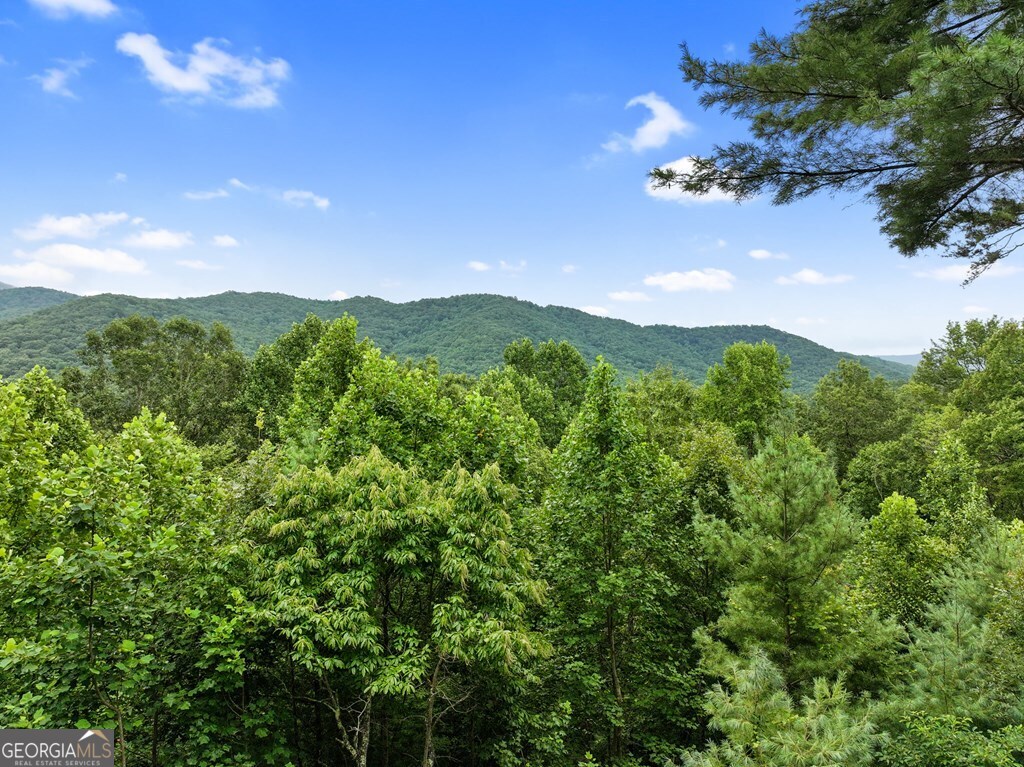 272 Laurel Mountain Road Cherry Log GA 30522