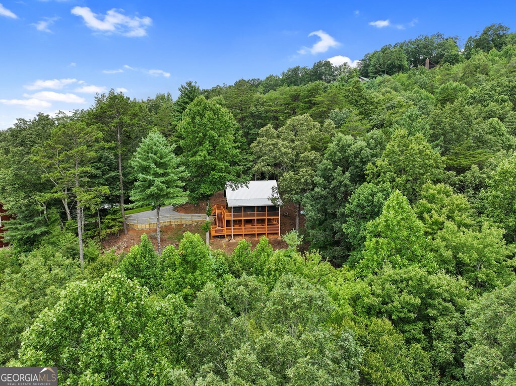 272 Laurel Mountain Road Cherry Log GA 30522