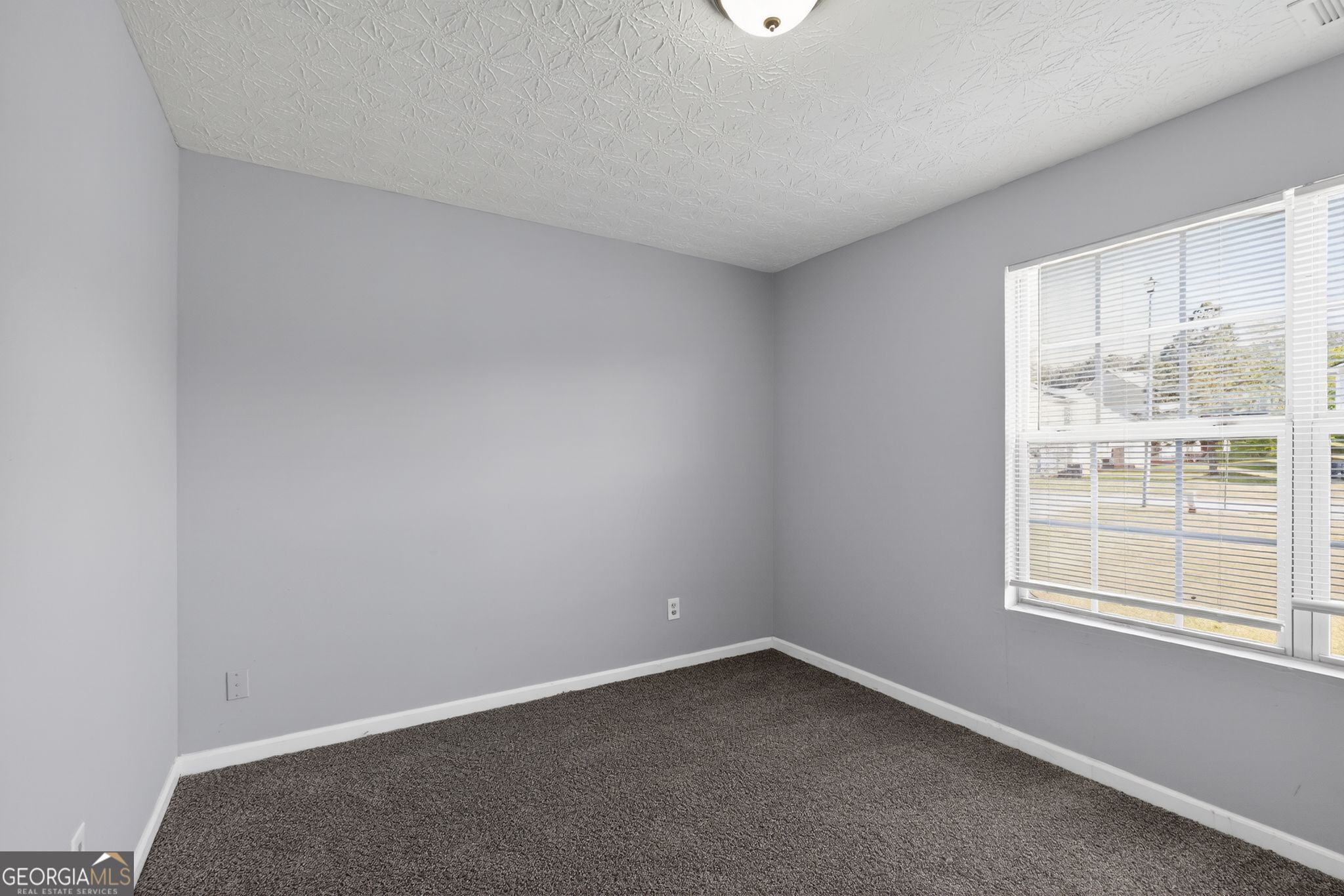 525 Carlton Pointe Drive Palmetto GA 30268