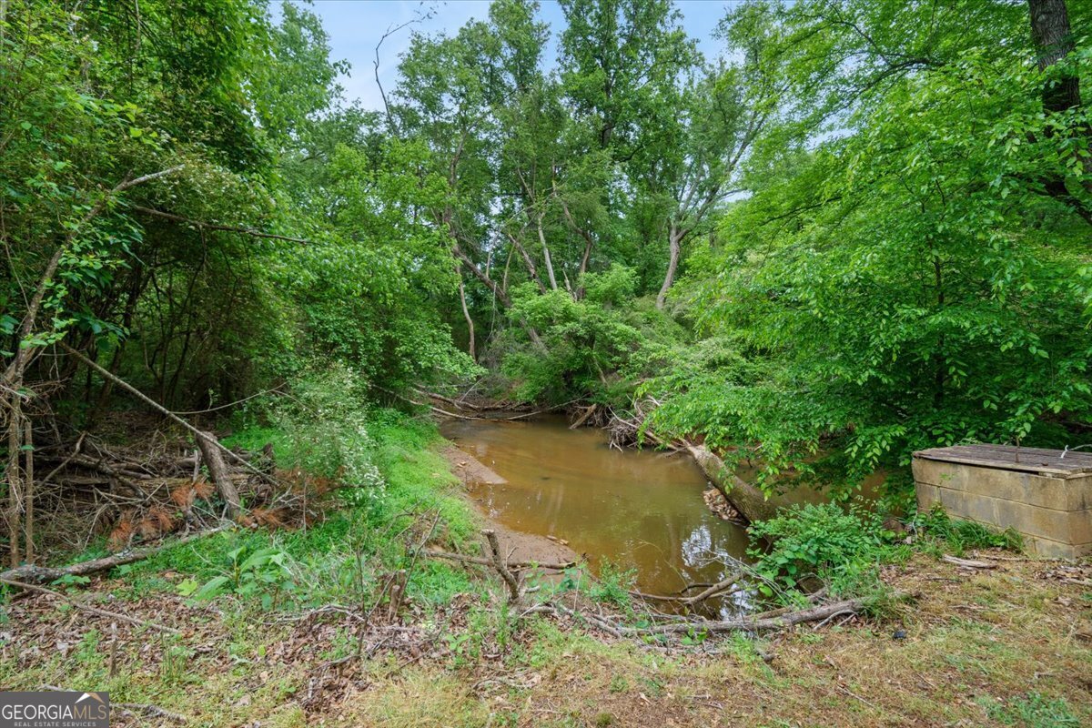 1441 Brandy Shoals Drive Conyers GA 30013