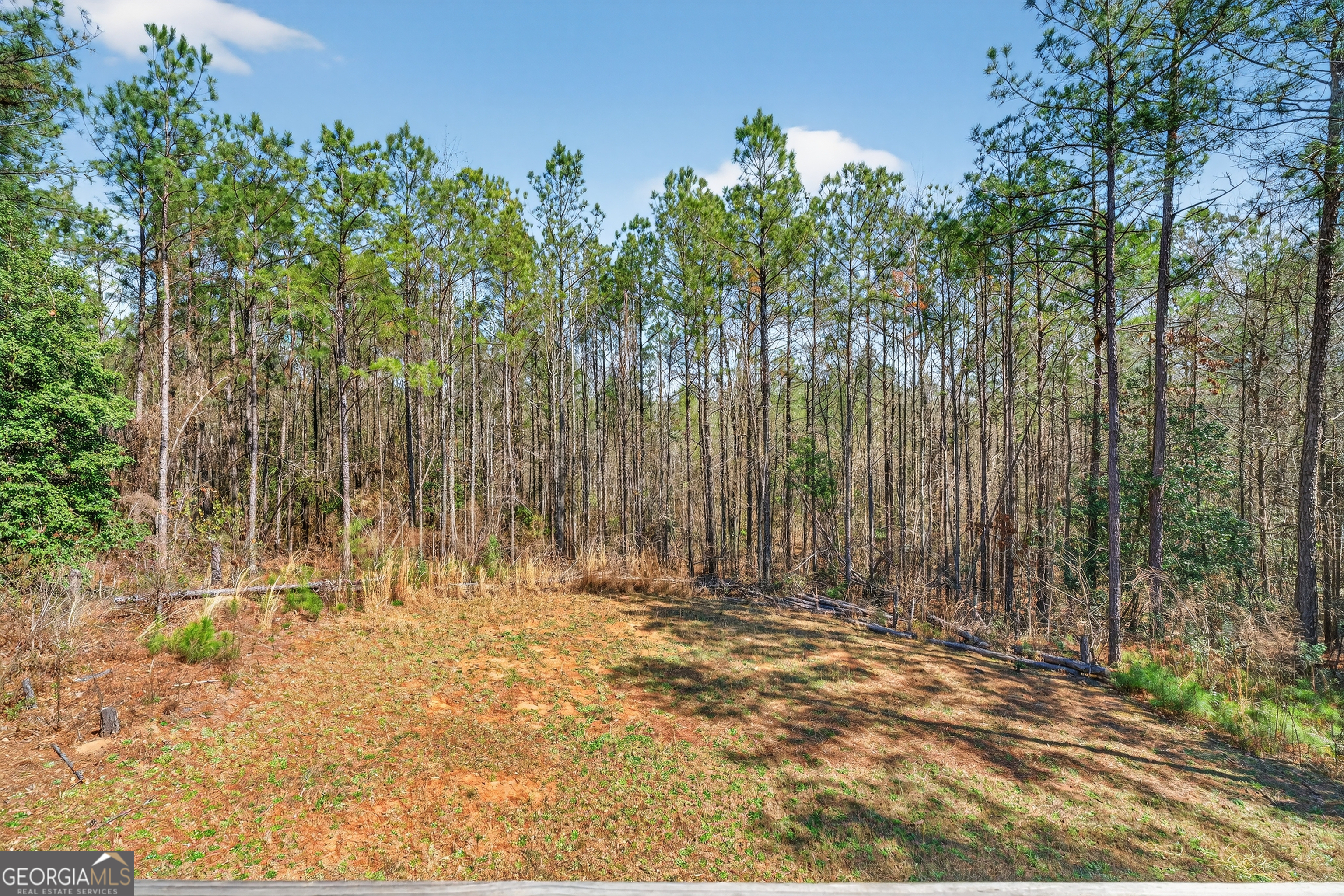 155 Shetland Pines Drive Macon GA 31216