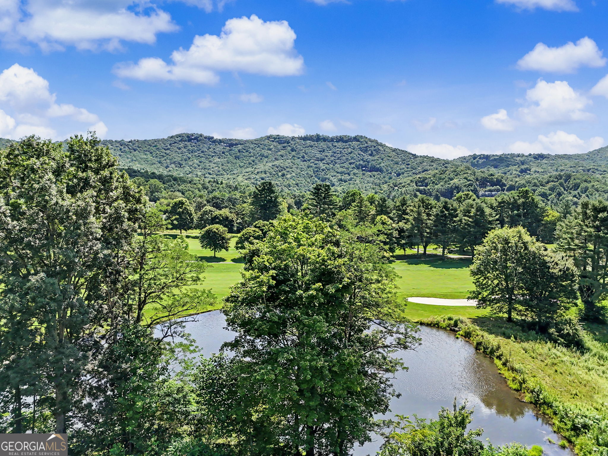 48 Little Bear Trail Sky Valley GA 30537