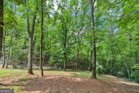 462 Ranch Mountain Drive Dahlonega GA 30533