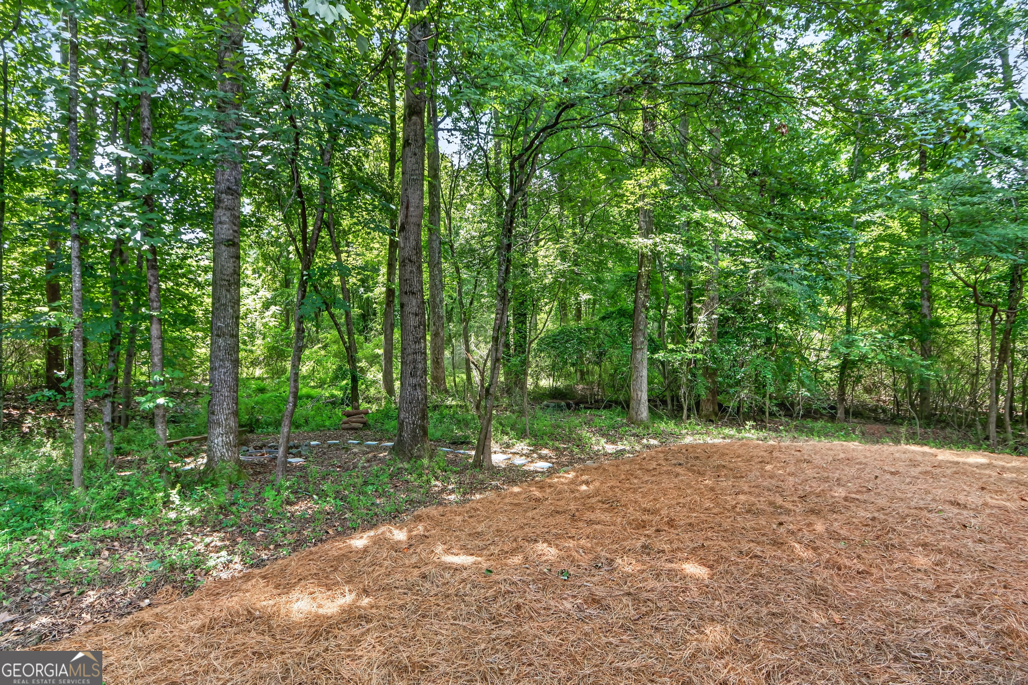 145 Welford Trace Alpharetta GA 30004